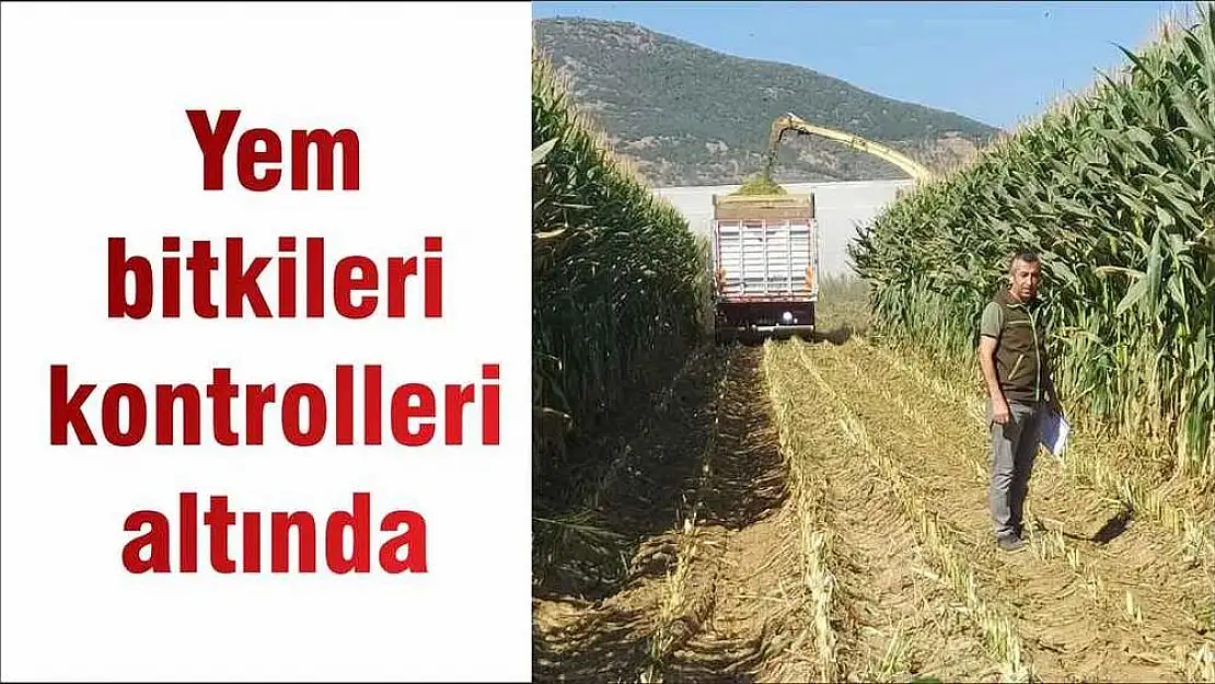 Yem bitkileri kontrolleri altında