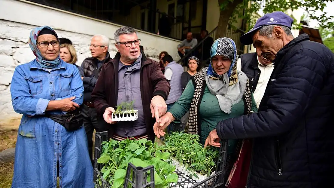 Yerel üreticiye 500 bin fide