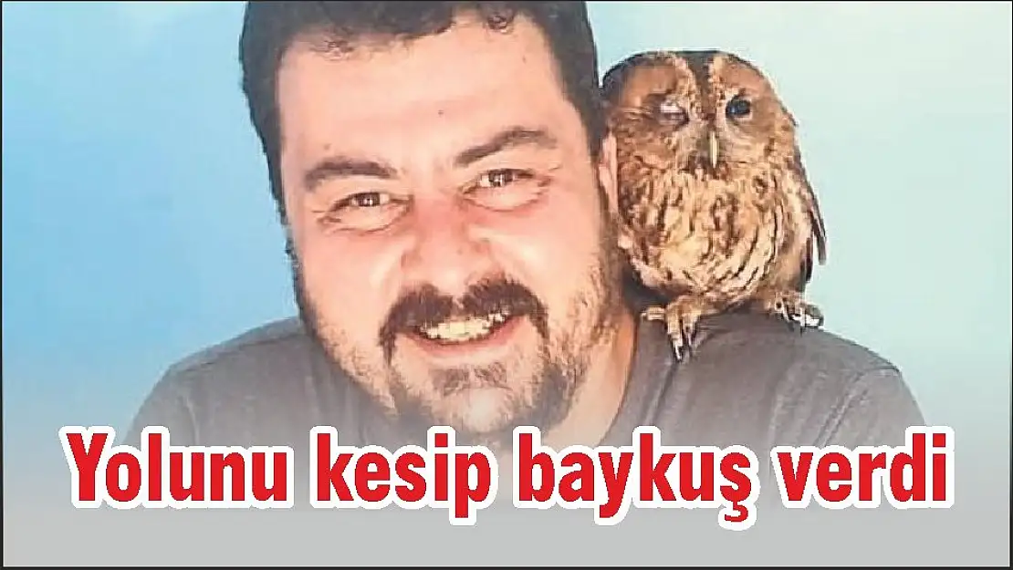 Yolunu kesip baykuş verdi