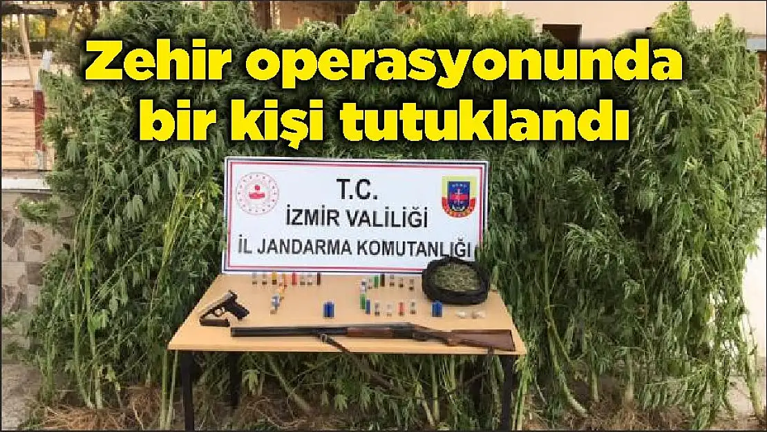 Zehir operasyonunda bir kişi tutuklandı