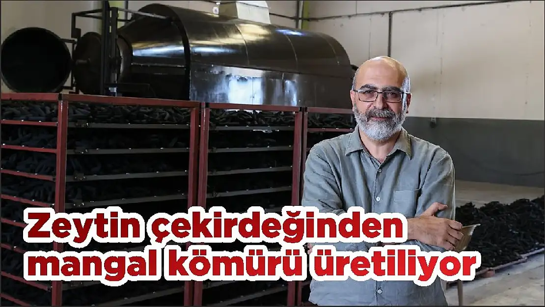 Zeytin çekirdeğinden mangal kömürü üretiliyor