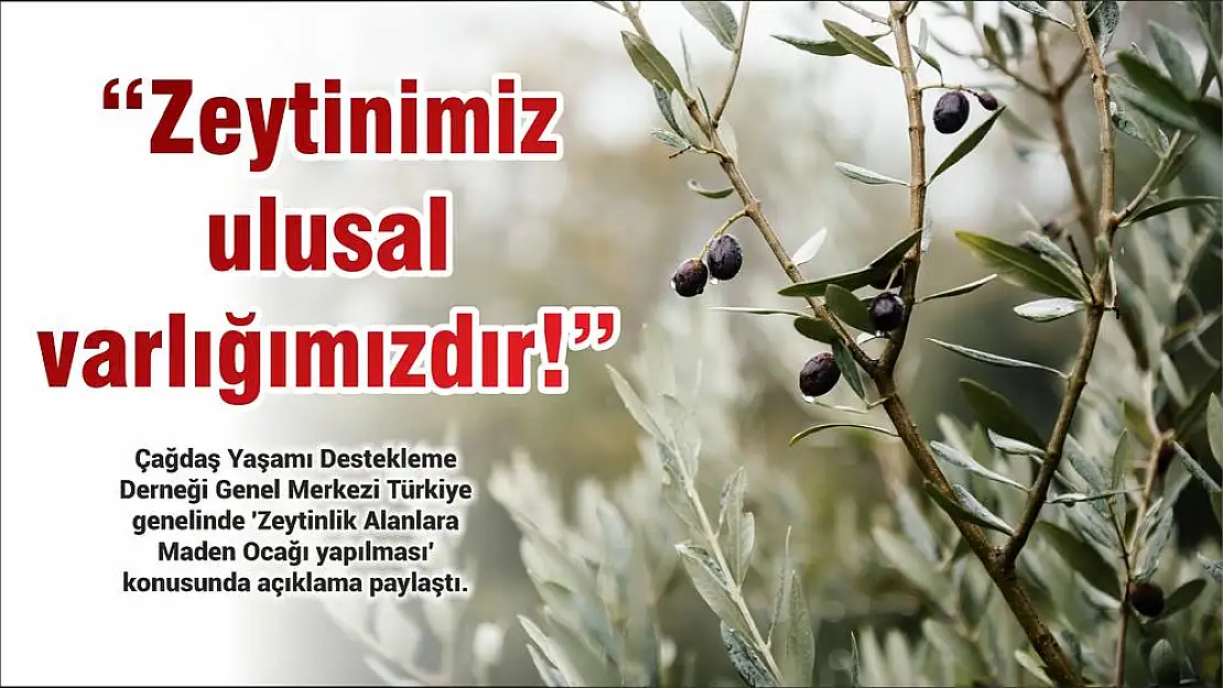 'Zeytinimiz ulusal varlığımızdır!'
