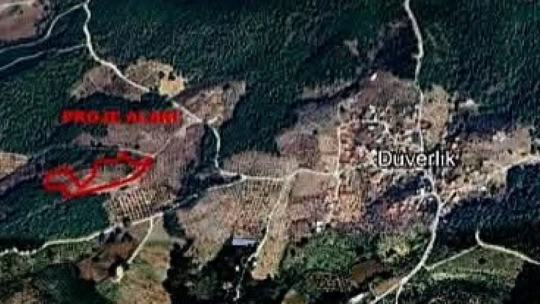 Zeytinlik alanda define arama ÇED Yönetmeliği'ne Aykırı Bulundu