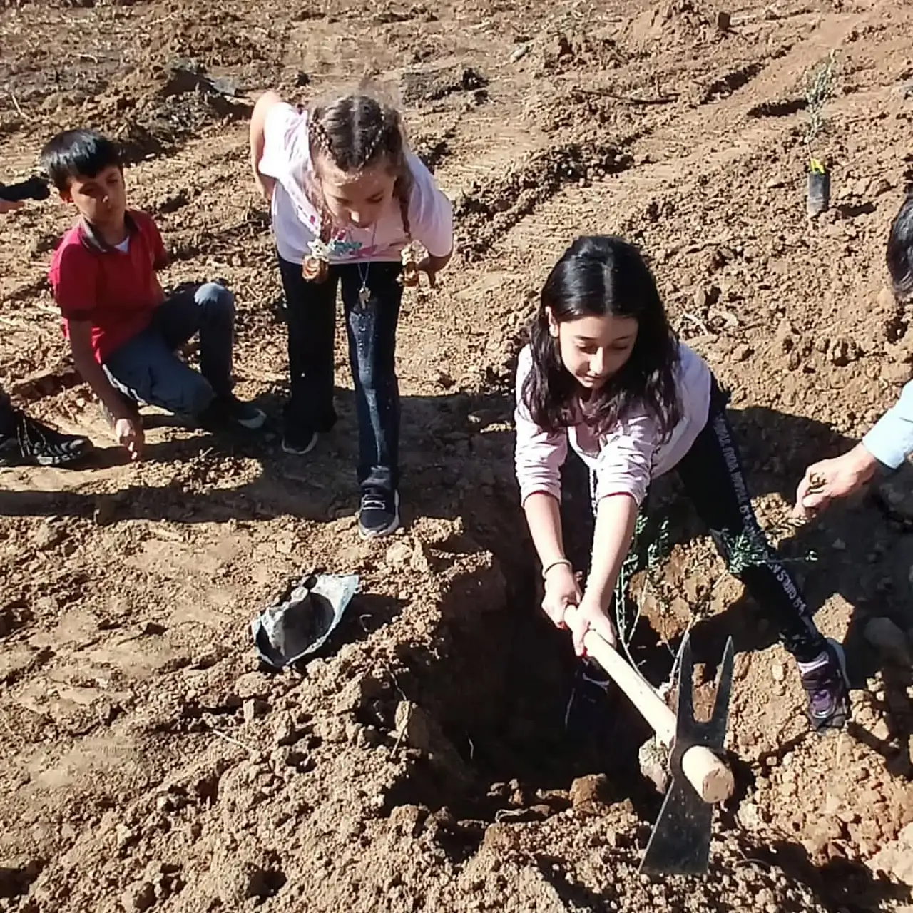 Ödemiş Diyanet Gençlik, Üzümlü Mahallesi'nde Ağaç Dikim Kampanyasına Katıldı