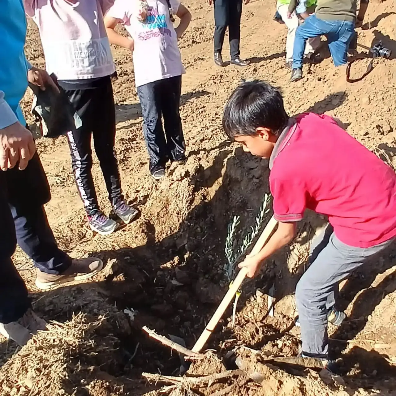 Ödemiş Diyanet Gençlik, Üzümlü Mahallesi'nde Ağaç Dikim Kampanyasına Katıldı
