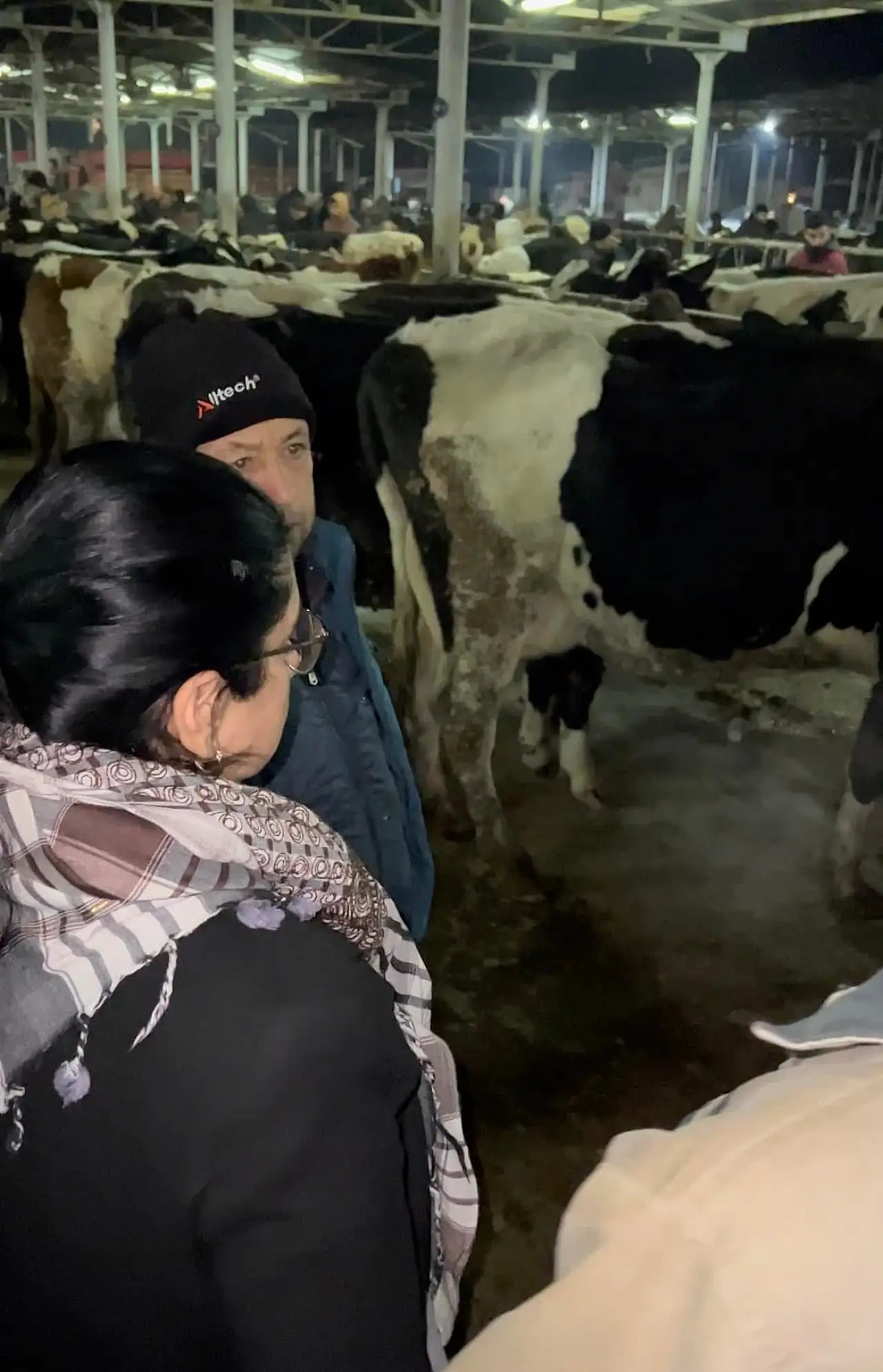 Küçük Menderes'i şap vurdu, ticaret durdu, üretici çaresiz: Bakanlık göreve!