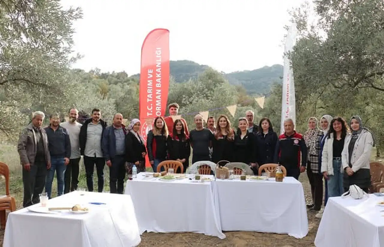 Tire'de Zeytin Ağacı Günü Etkinliği Gerçekleştirildi