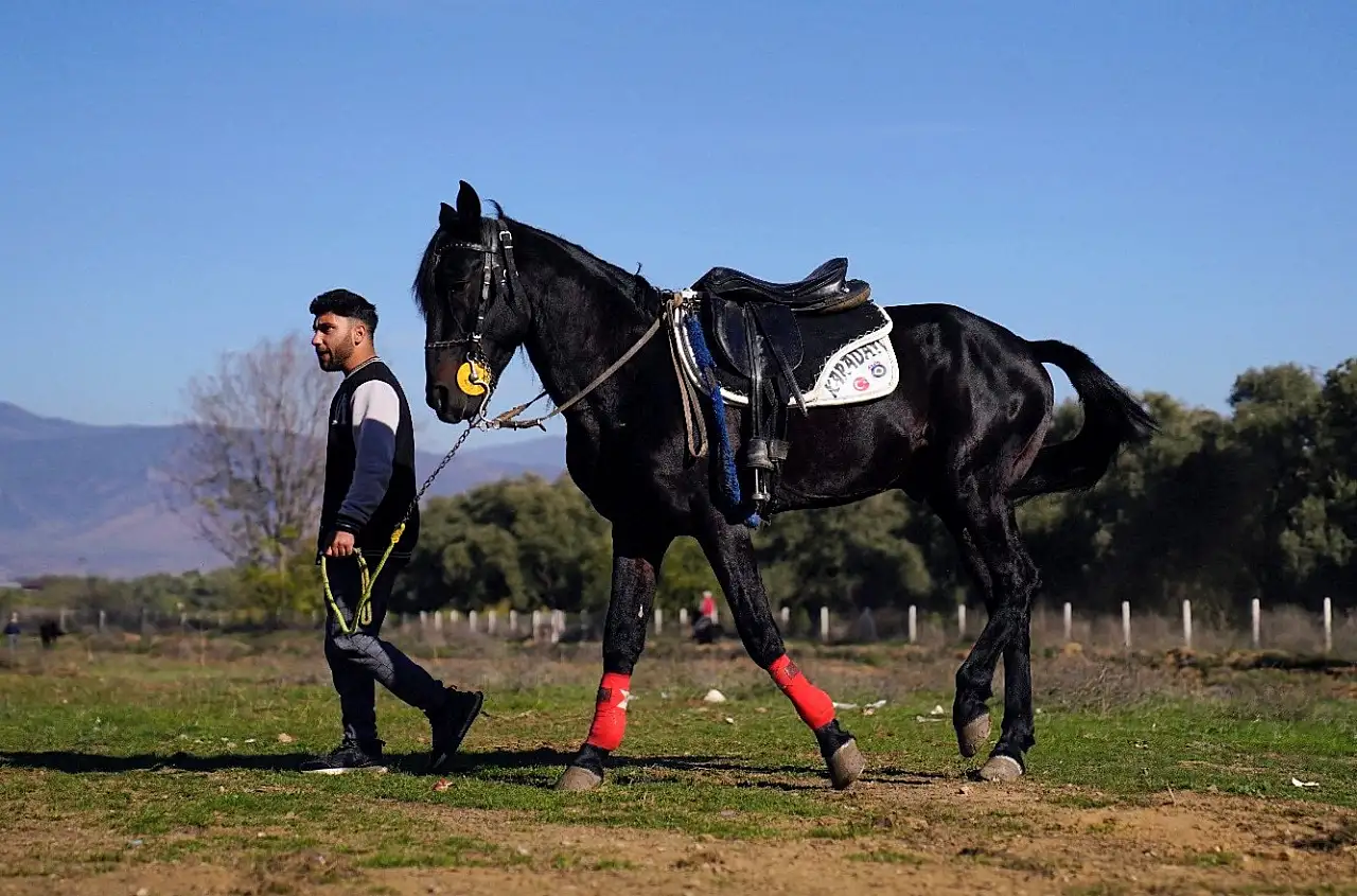 Tire'de Geleneksel Rahvan At Yarışları Nefes Kesti!