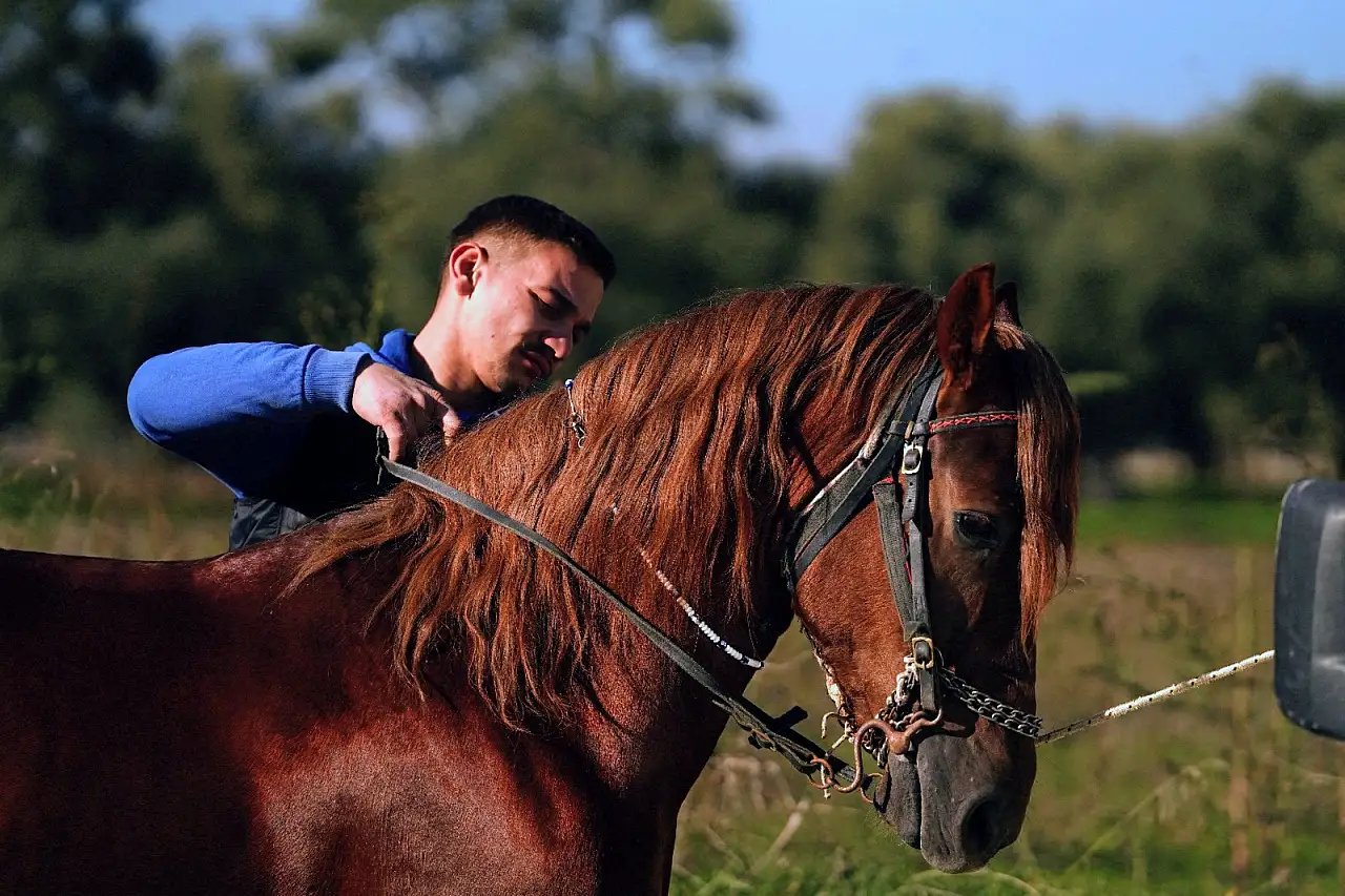 Tire'de Geleneksel Rahvan At Yarışları Nefes Kesti!