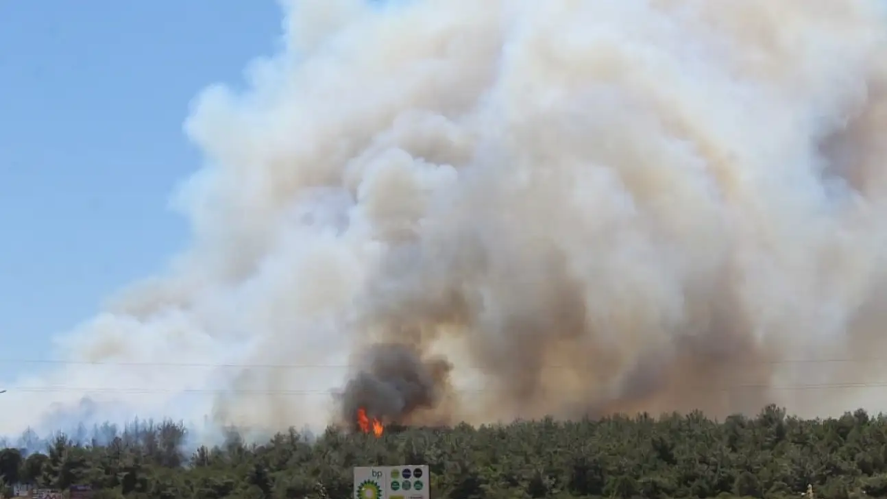 Çanakkale-İzmir Yolunda Korkutan Yangın! Alevler Güzelyalı ve Dardanos'u Tehdit Ediyor