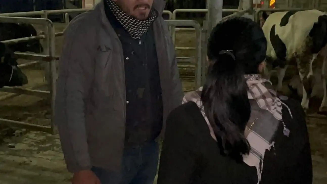 Küçük Menderes'i şap vurdu, ticaret durdu, üretici çaresiz: Bakanlık göreve!