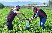 Sağlıklı toprak, kaliteli ürün, güçlü üretici