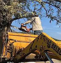 Beydağ'da Hizmetler Aralıksız Sürüyor