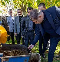Beydağ'da Kestane Üreticilerine Büyük Destek: Hastalıklara Karşı Dayanıklı Ağaçlar Toprakla Buluşuyor
