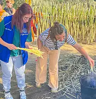 Erasmus Plus Projesi Kapsamında Bayındır'da Kuru Çiçek Merkezi Gezisi