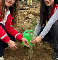 Kızılay Ekibi, 11 Kasım Milli Ağaçlandırma Günü'nde Fidan Dikiminde Yerini Aldı