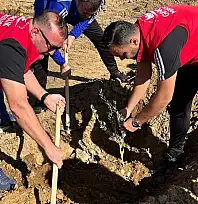 Ödemiş Gençlik Merkezi, Yangın Bölgesinde Fidan Dikti