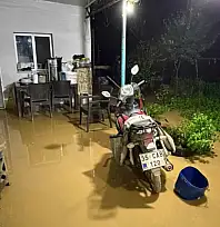 Ödemiş'te çiftlik sular altında