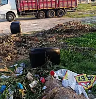 Ödemiş'te Çirkin Görüntüler Tepki Çekti