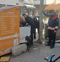 ÖDEMİŞ'TE KIZILAY BAĞIŞ KUTUSUNA SIKIŞAN KEDİ KURTARILDI