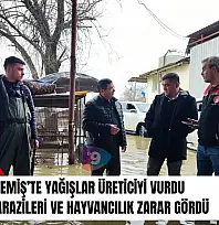 Ödemiş'te yağışlar üreticiyi vurdu: Tarım arazileri ve hayvancılık zarar gördü