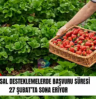 Tarımsal desteklemelerde başvuru süresi 27 Şubat'ta sona eriyor