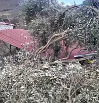 TİRE'DE FIRTINA EVİN ÇATISINI UÇURDU