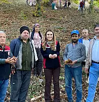 Tire'de Kestane Hasadı Sona Yaklaşıyor