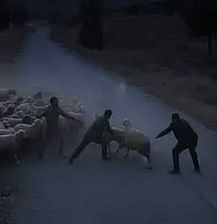 Tire'de Koyun Tartışması Kanlı Bitti, 2 Kişi Yaralandı