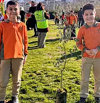 Tire'de Öğrenciler, Zeytin Fidanlarını Toprakla Buluşturdu