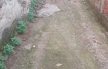 BADEMLİ'DE YILLARDIR BEKLEYEN YOL SORUNU SABIRLARI ZORLUYOR