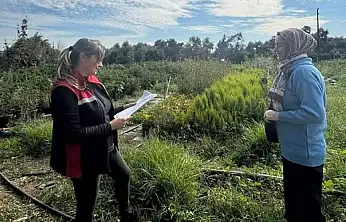 Bayındır'da Süs Bitkisi Projesi Teknik Denetimden Geçti