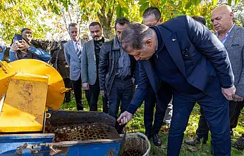 Beydağ'da Kestane Üreticilerine Büyük Destek: Hastalıklara Karşı Dayanıklı Ağaçlar Toprakla Buluşuyor