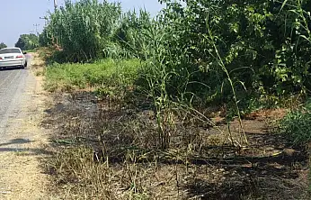 Bozdoğan-Nazilli Yolunda Çıkan Yangın, Duyarlı Vatandaşlar Sayesinde Büyümeden Söndürüldü