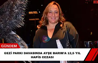 Gezi Parkı davasında Ayşe Barım'a 12,5 yıl hapis cezası