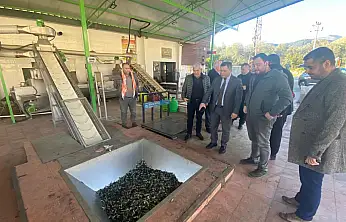 KAYMAKAM ERDOĞAN'DAN BİRGİ'DE ZEYTİNYAĞI FABRİKASINA ZİYARET