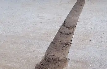 Kazı Çalışması Sonrası Bırakılan Çukur Tepki Çekti