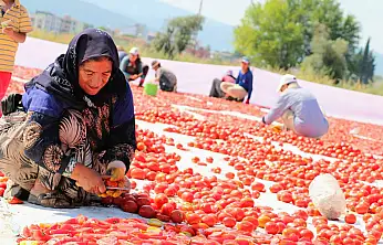 Kuru Domates Dünya İkinciliğinde Torbalı Etkisi