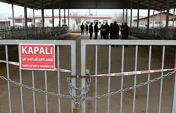 Ödemiş'te şap hastalığı kısıtlamaları güncellendi