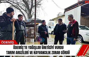 Ödemiş'te yağışlar üreticiyi vurdu: Tarım arazileri ve hayvancılık zarar gördü