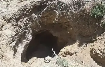 Ödemiş'te Yürekleri Ağıza Getiren Kurtarma: 80 Yaşındaki Adam 10 Metrelik Kuyudan Canlı Çıkarıldı