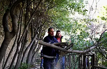 TİRE BELEDİYESİ FIRTINAYA RAĞMEN SAHADA