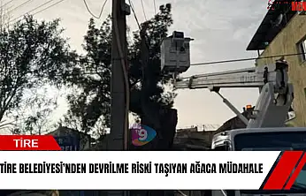 Tire Belediyesi'nden devrilme riski taşıyan ağaca müdahale