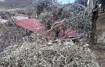 TİRE'DE FIRTINA EVİN ÇATISINI UÇURDU