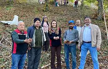 Tire'de Kestane Hasadı Sona Yaklaşıyor