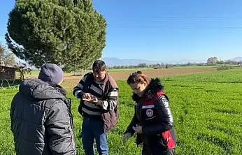 TİRE'DE TARLA ZARARLILARI YERİNDE İNCELENDİ