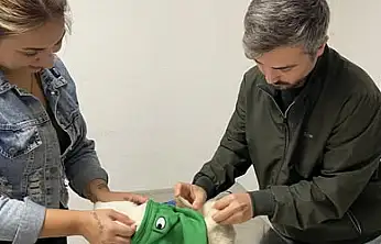 Tire İlçe Tarım ve Orman Müdürlüğü'nden Evcil Hayvan Sahiplerine Çağrı