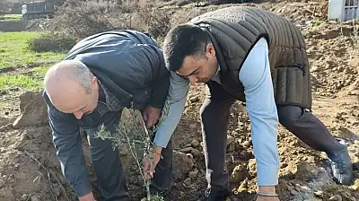 BBP Ödemiş İlçe Teşkilatından Üzümlü Mahallesi'nde Anlamlı Fidan Dikimi