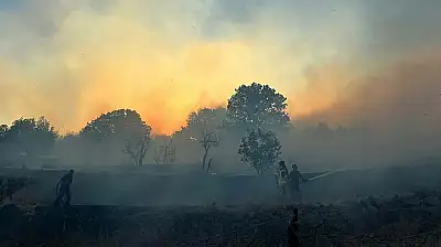 İzmir Dikili'de Site Yangını: Alevler Makilik Alana Sıçradı, Müdahale Devam Ediyor