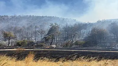 Manisa Soma'da Orman Yangını İkinci Gününde Devam Ediyor